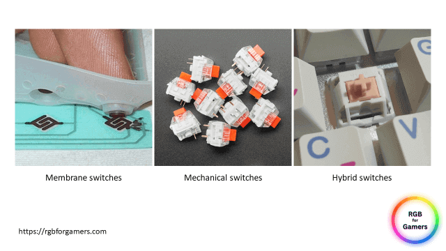 Membrane, mechanical, and hybrid switches showed in a infographics