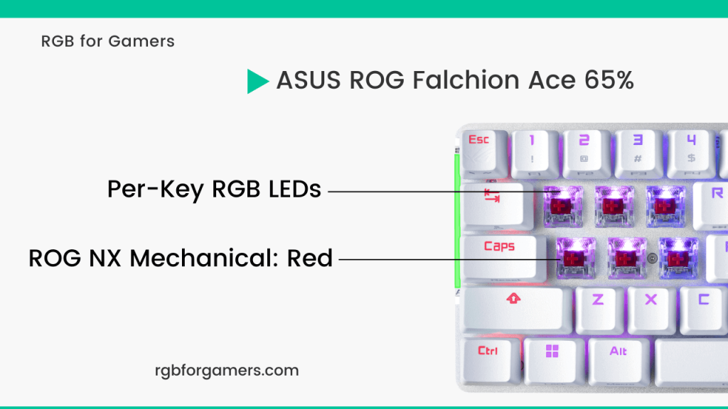ASUS ROG Falchion Ace 65 Percent RGB Switch
