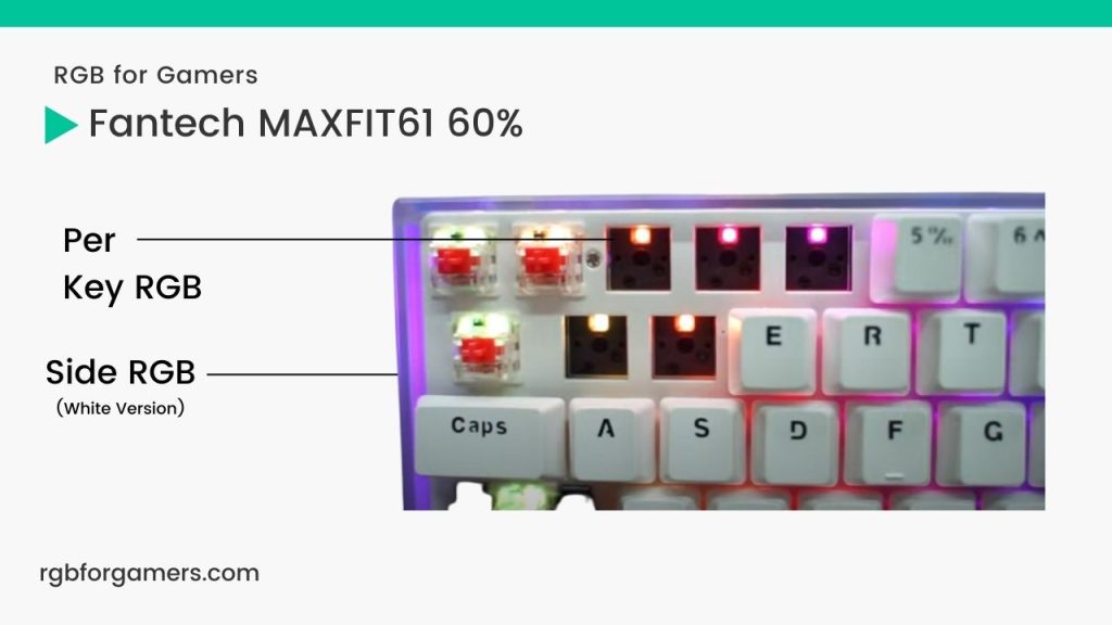 RGB of Maxfit61